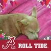 sadie1950